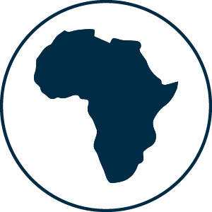 Bostik DIY South Africa Badge Made in South Africa