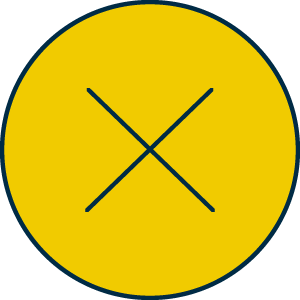 Bostik DIY South Africa Badge Non yellowing