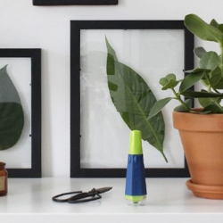 bostik-diy-cadre-vegetal-shakemyblog-1.jpg