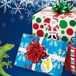 Bostik DIY South Africa Tutorial Christmas Jolly Gift Tags teaser image