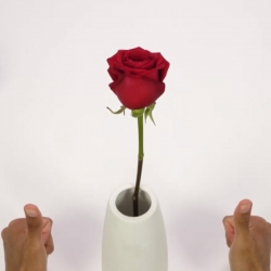 Bostik DIY France news comment reparer un vase en 1 minute banner image