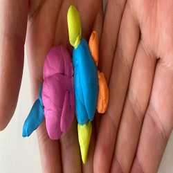 Developing Tactile Skills Banner