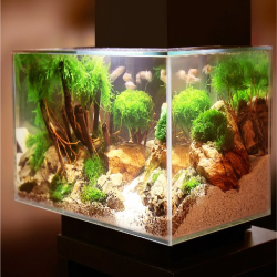 Bostik DIY Poland klejenie pod woda  step 1