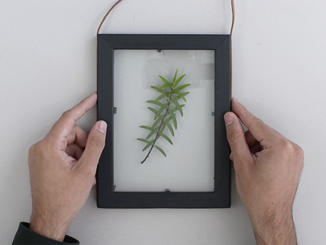 Bostik tuto diy cadre vegetal 4.3