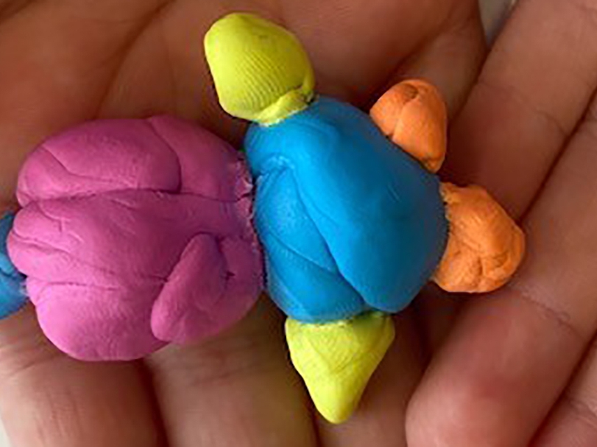 Developing Tactile Skills Banner