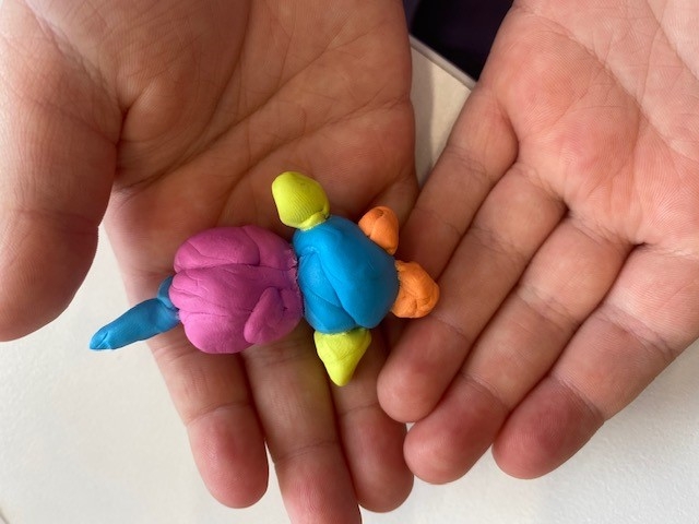 Developing Tactile Skills - Shapes