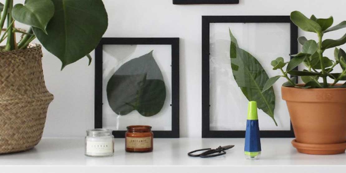 Bostik DIY Romania tutorial cadre plant banner image