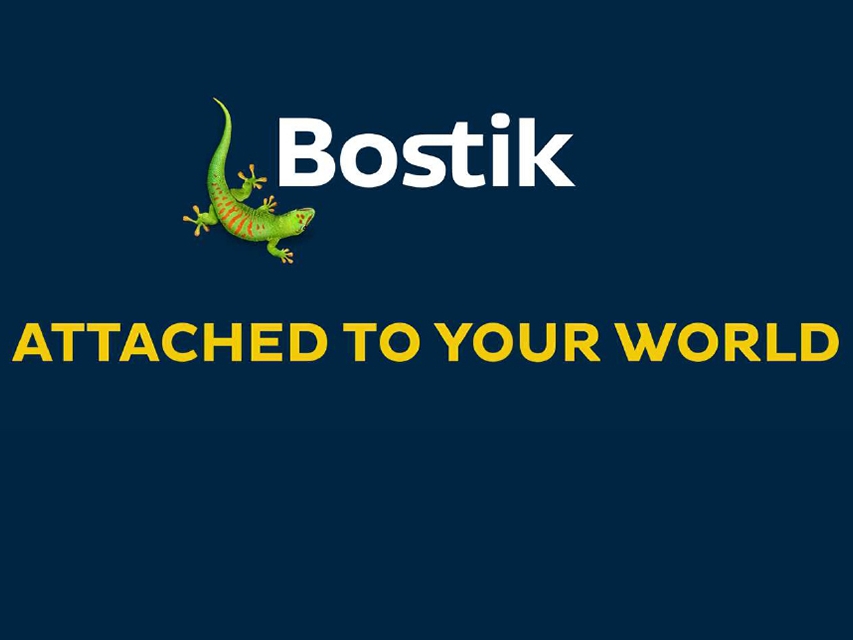 Bostik DIY Russia news attached to your world banner image