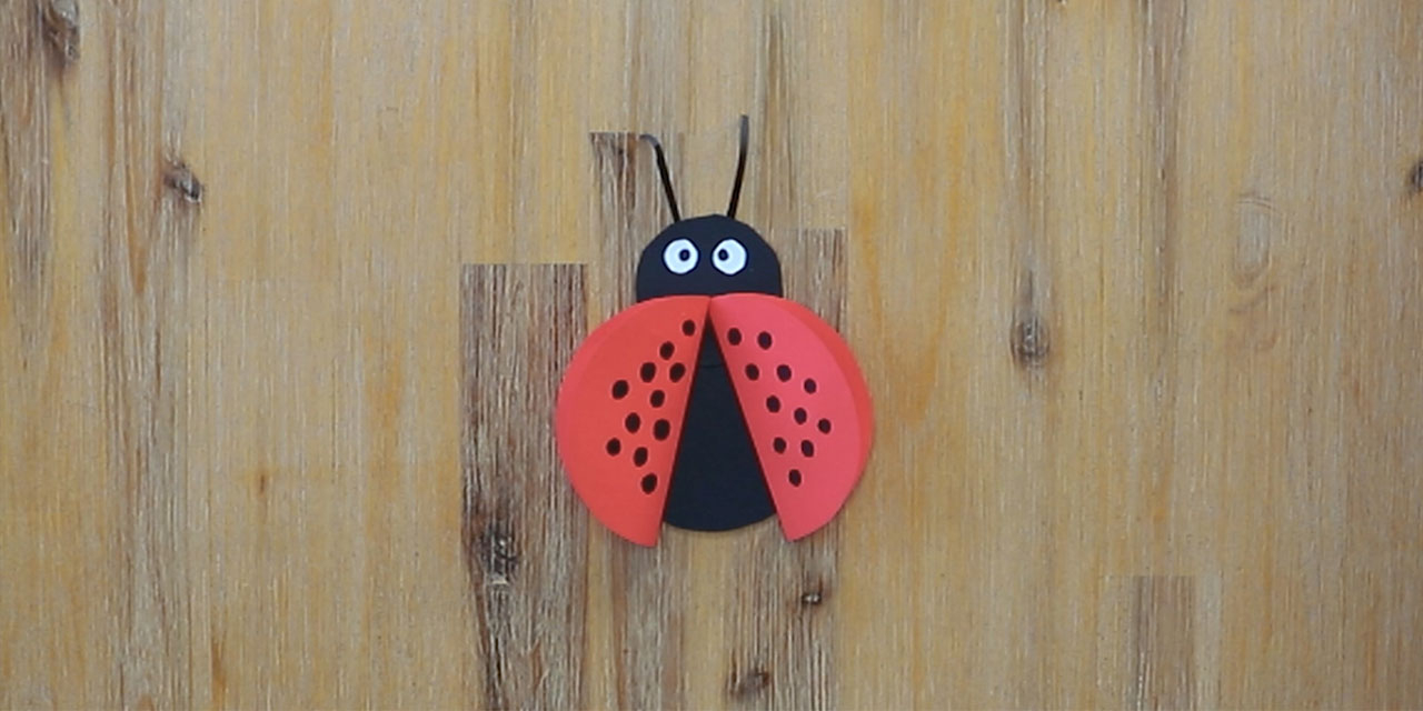 Bostik DIY South Africa Tutorial Ladybug banner