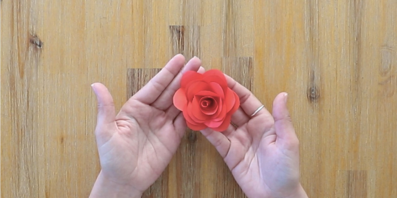 Bostik DIY South Africa Tutorial Paper rose banner