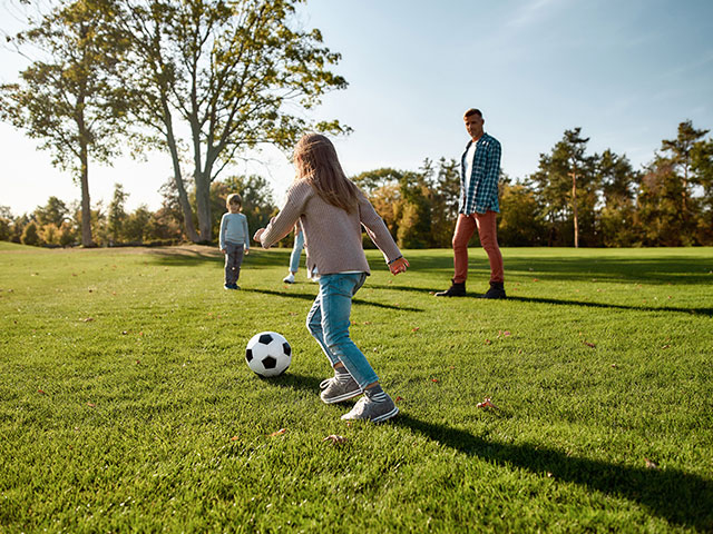 Bostik DIY South Africa News Exam Tips 10