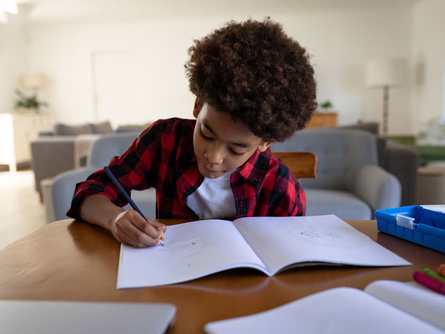 Bostik DIY South Africa News Exam Tips 3