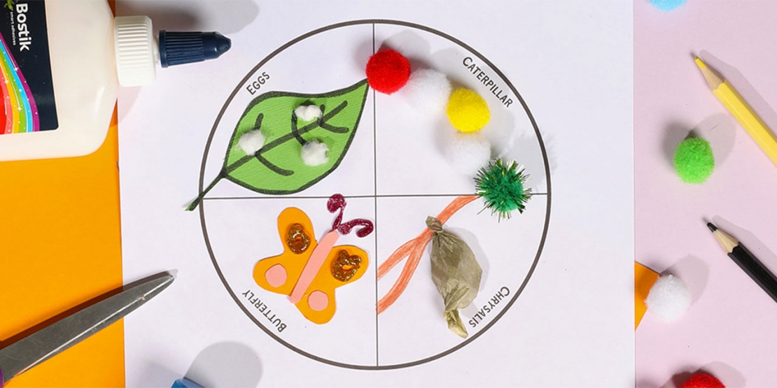 DIY bostik Australia buttefly life cycle craft project banner