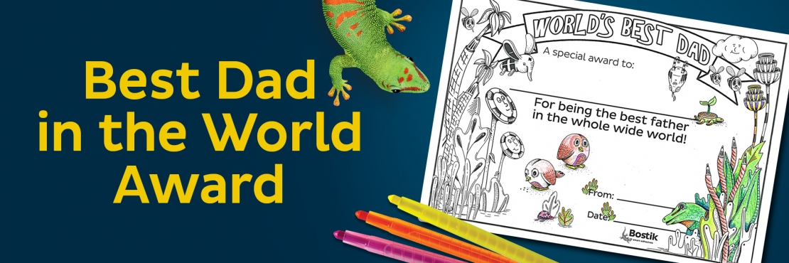 Bostik DIY South Africa Tutorial Best Dad Award banner