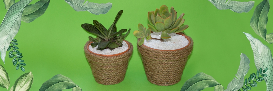 Bostik DIY South Africa Tutorial Planter Pots Banner image