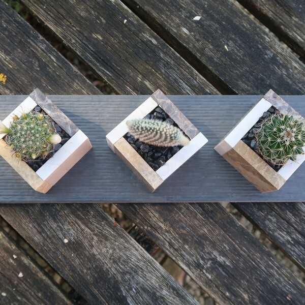 Bostik-DIY-square-pots-for-small-plants-step6