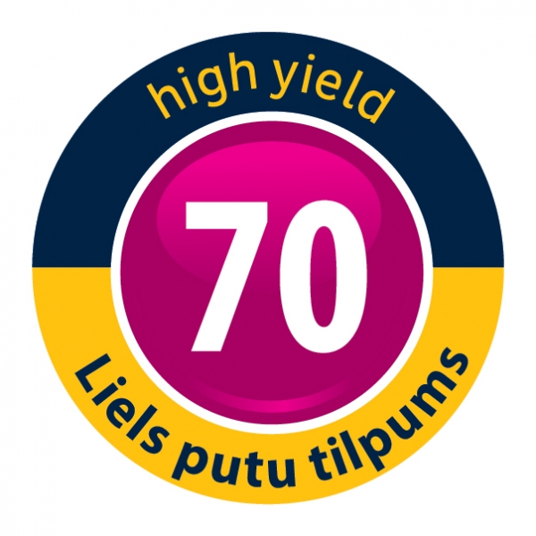 Bostik DIY Latvia Perfect Fill Maxi pro 70 icon