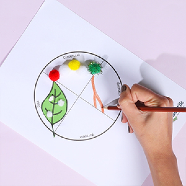 DIY Bostik Indonesia tutorial buttefly life cycle craft project step 5