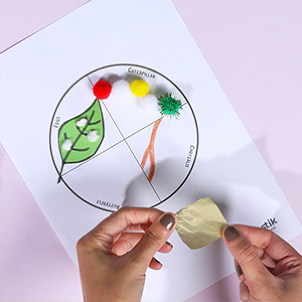 DIY Bostik Indonesia tutorial buttefly life cycle craft project step 6