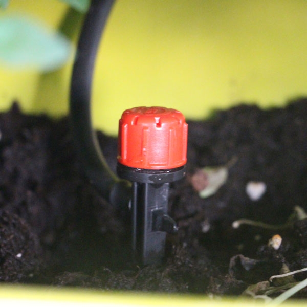 Bostik DIY Greece tutorial Balcony Garden step 23