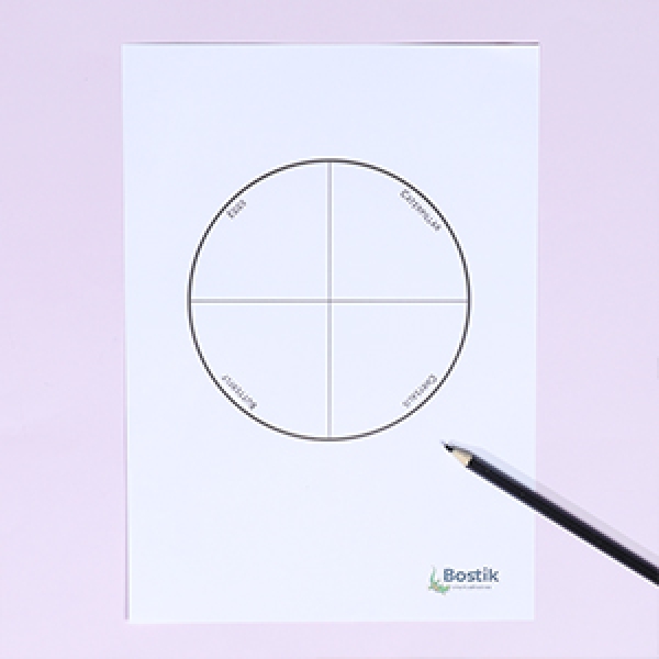 DIY bostik Australia buttefly life cycle craft project step 1