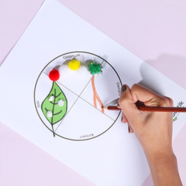 DIY Bostik Malaysia buttefly life cycle craft step 5