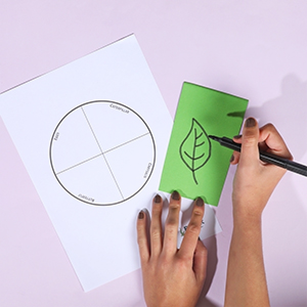 Bostik DIY Singapore Ideas That Stick Butterfly Life Cycle step 2