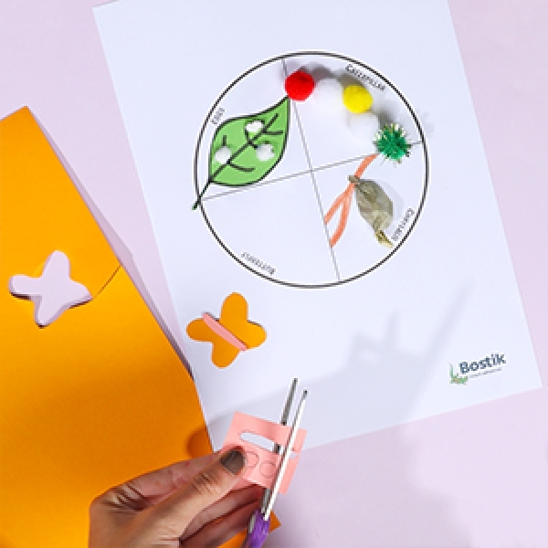 Bostik DIY Singapore Ideas That Stick Butterfly Life Cycle step 7