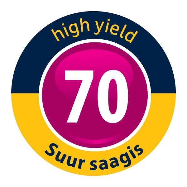 Bostik DIY Estonia Fixpro Maxi 70 Pro Foam product image