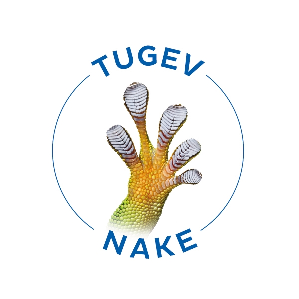 Bostik DIY Estonia Perfect Seal Pictos Strong Adhesion Blue