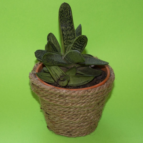 Bostik DIY South Africa Tutorial Planter Pots step 3