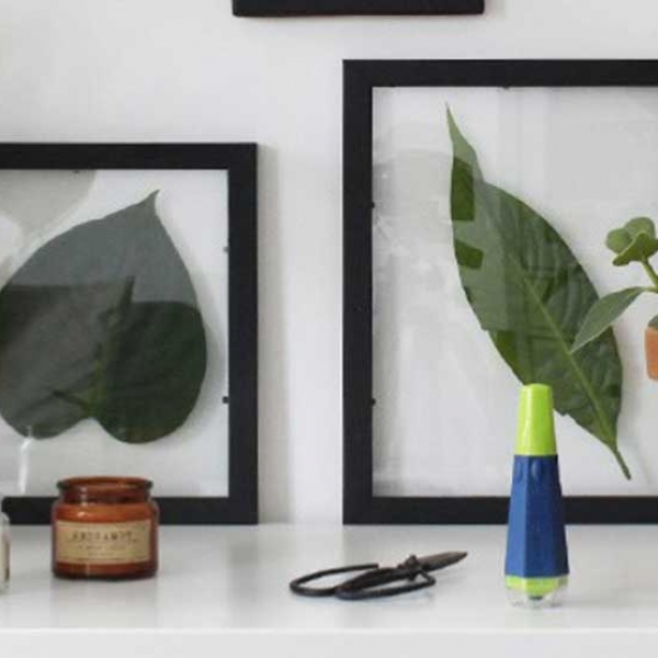 Bostik DIY Romania tutorial cadre plant banner image