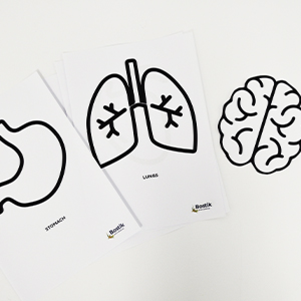 Bostik DIY Hong Kong Tutorial Human Body Step 1