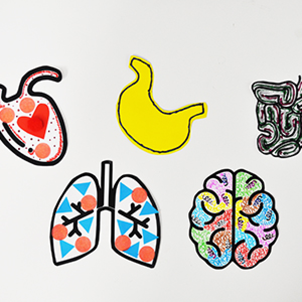 Bostik DIY Hong Kong Tutorial Human Body Step 3