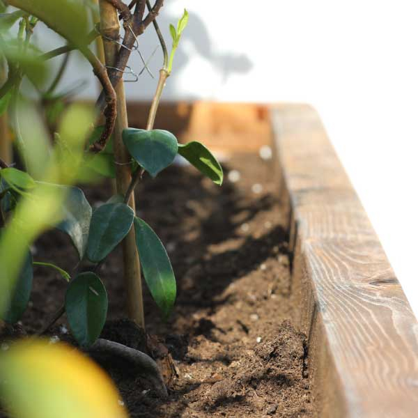 Bostik DIY Greece tutorial flower box step 14