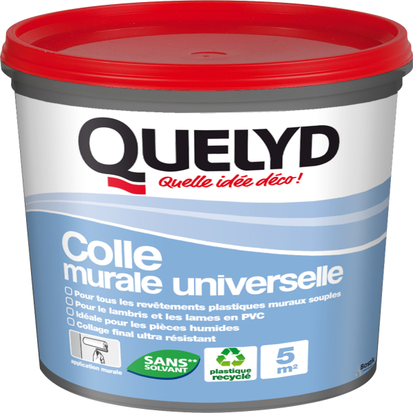 Bostik DIY France Quelyd Colle Murale Universelle Teaser