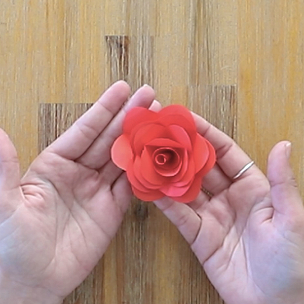 Bostik DIY South Africa Tutorial Paper Rose Teaser