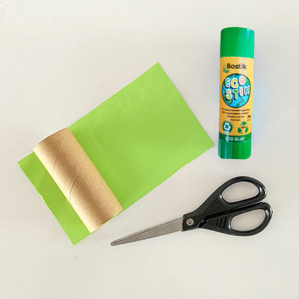 Bostik DIY New Zealand Stationery Craft Eco Stik tutorial Toilet Roll Frog step 2