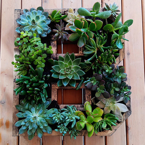 Bostik DIY Greece tutorial Planter banner image