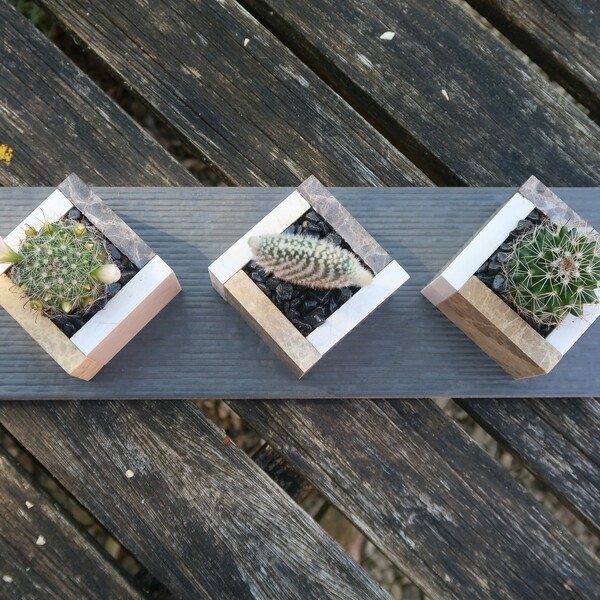 Bostik DIY Ireland Square Pots For Small Plants Step 6